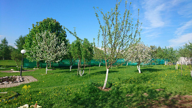 Монтаж газгольдера в д. Троица